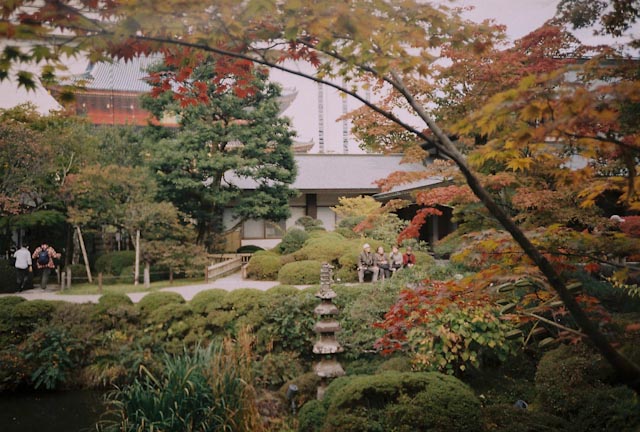 Nikko botanical garden