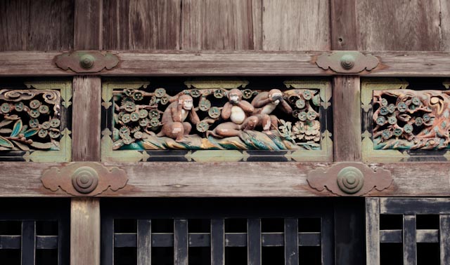 Nikko monkeys