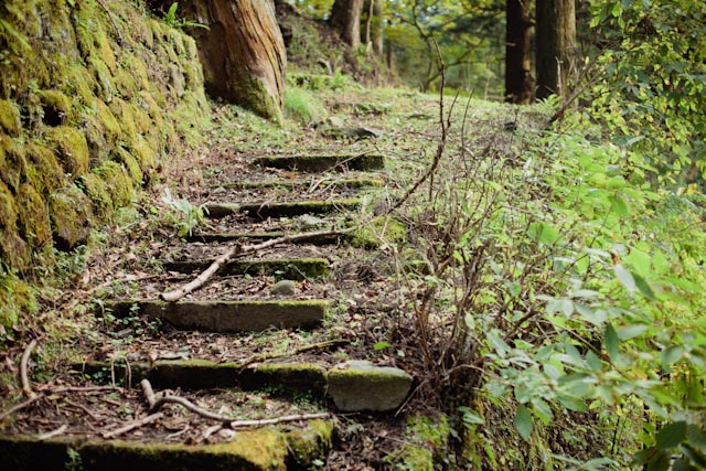 Nikko woods trail