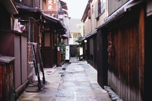 Kyoto streets - the cat you and us