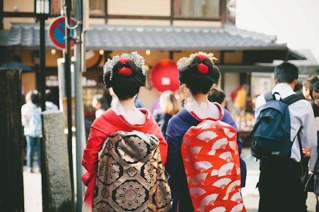 Geishas back - the cat you and us