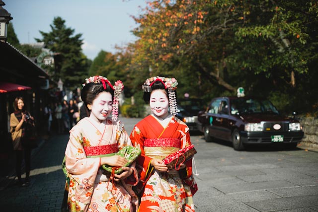 Geishas front - the cat you and us