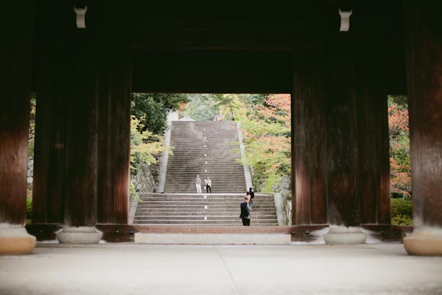 Temple entrance - the cat you and us