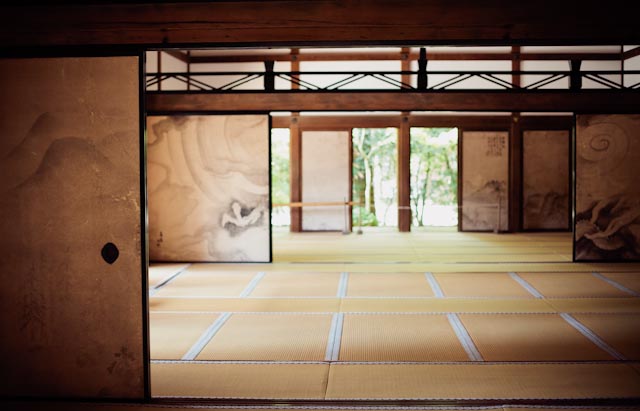 Ryoan-ji - the cat you and us