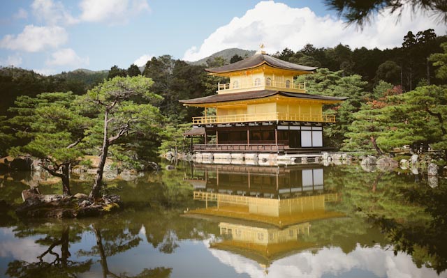 Kinkaku-ji - the cat you and us