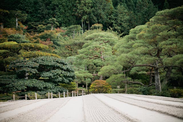 Ginkaku-ji - the cat you and us