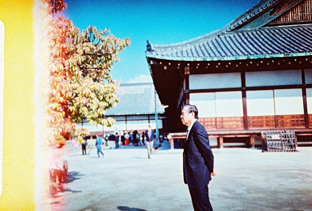 Nijo castle lca - the cat you and us