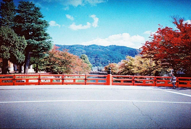 Heian bridge - the cat you and us