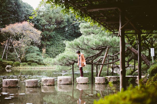 Heian garden rocks - the cat you and us