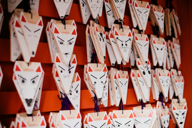 Fushimi Inari kitsune - the cat you and us