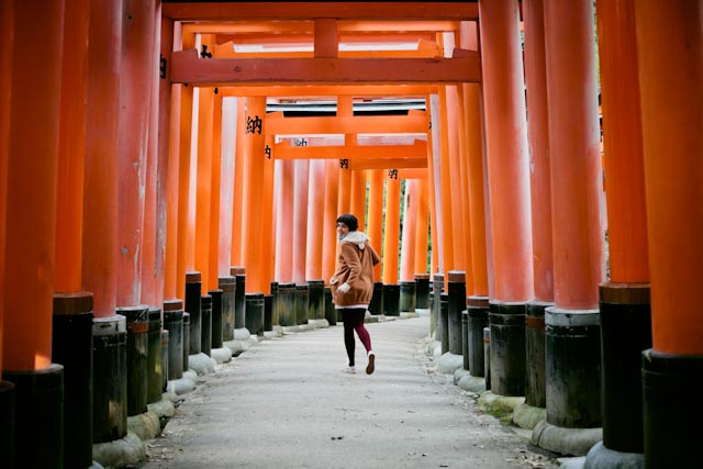 Fushimi Inari - the cat you and us