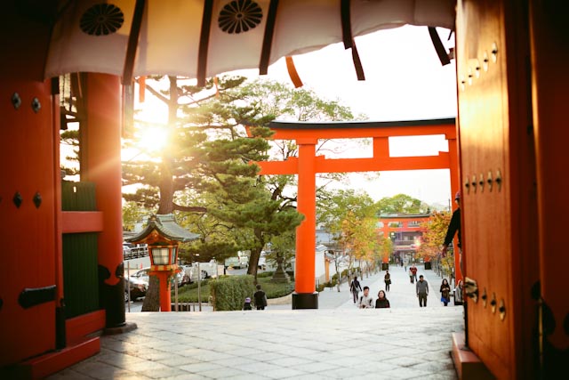 Fushimi Inari entrance - the cat you and us