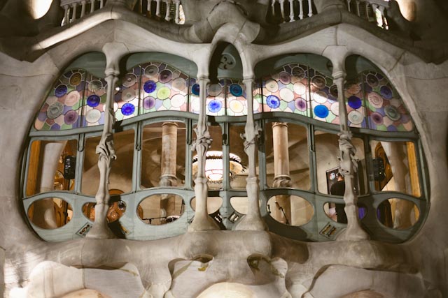 Casa Batllo - the cat you and us