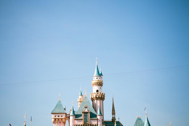 Disneyland castle - the cat you and us