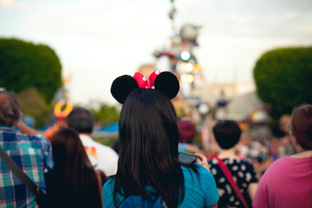 Minnie mouse ears - the cat you and us