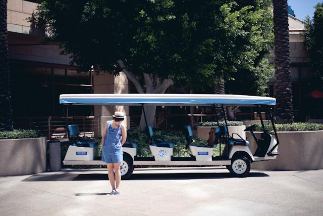 Warner Bros vip studio carts - the cat you and us