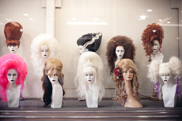 Hollywood wigs - the cat you and us