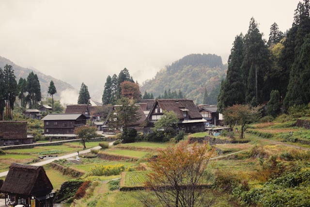 Ainokura village - The cat, you and us