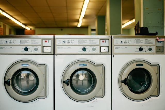 Venice beach pink laundry - The cat, you and us