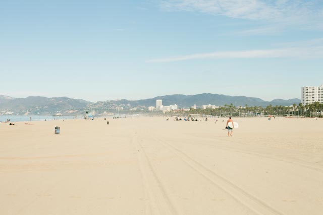 Venice beach - The cat, you and us