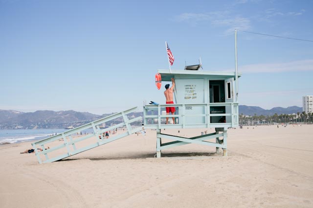 Venice beach - The cat, you and us