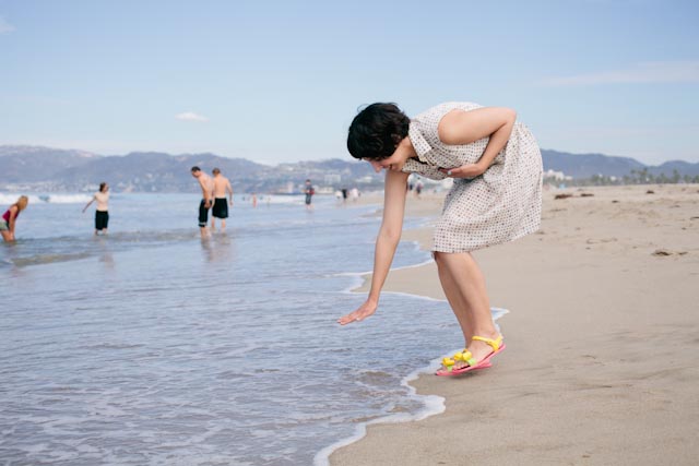 Venice beach - The cat, you and us