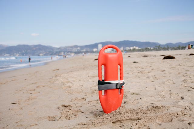 Venice beach - The cat, you and us