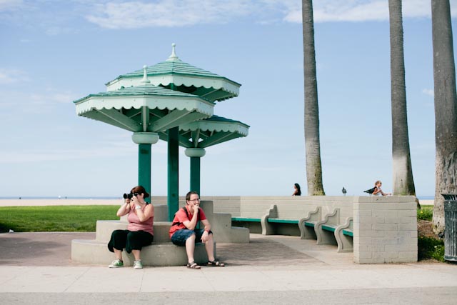 Venice beach - The cat, you and us