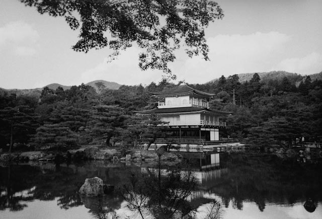 Golden Pavilion in B/W - The cat, you and us