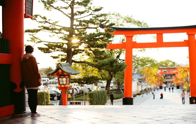 Fushimi Inari sunset - The cat, you and us