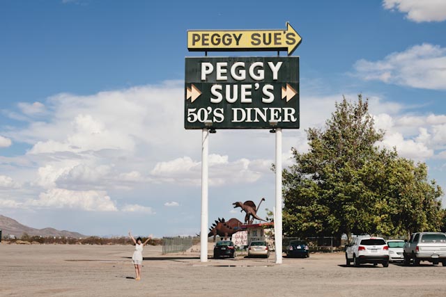 Peggy Sue - The cat, you and us