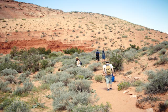 Secret Canyon walk - The cat, you and us