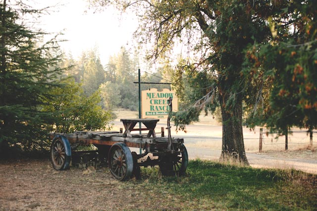 Meadow Creek Ranch in Mariposa - The cat, you and us