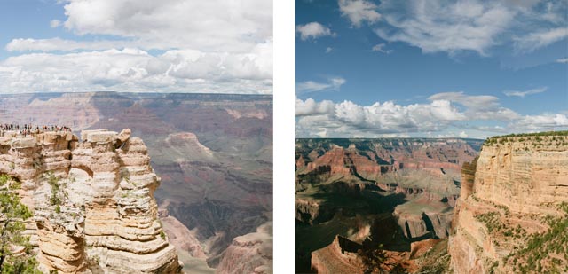 Grand Canyon - The cat, you and us