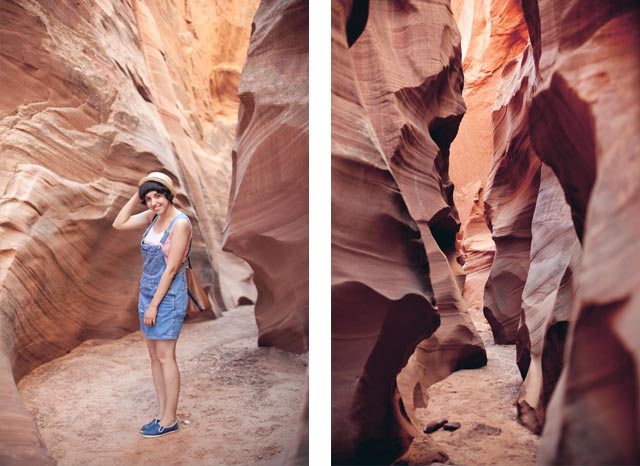 Damaris Secret Canyon - The cat, you and us