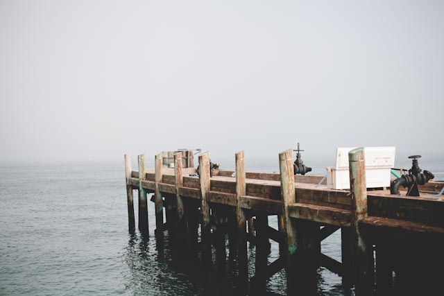 Alcatraz wooden pier - The cat, you and us