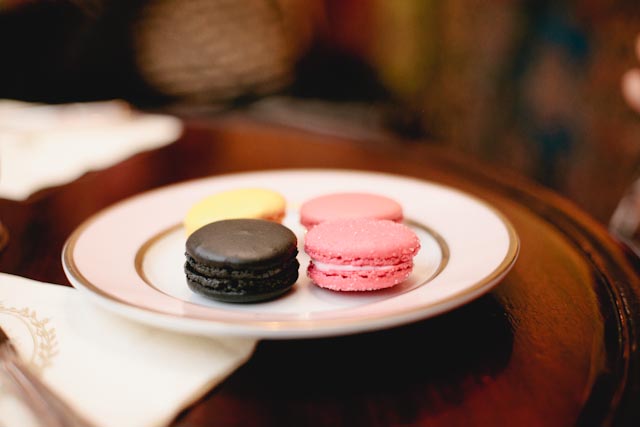 Laduree macarons - The cat, you and us