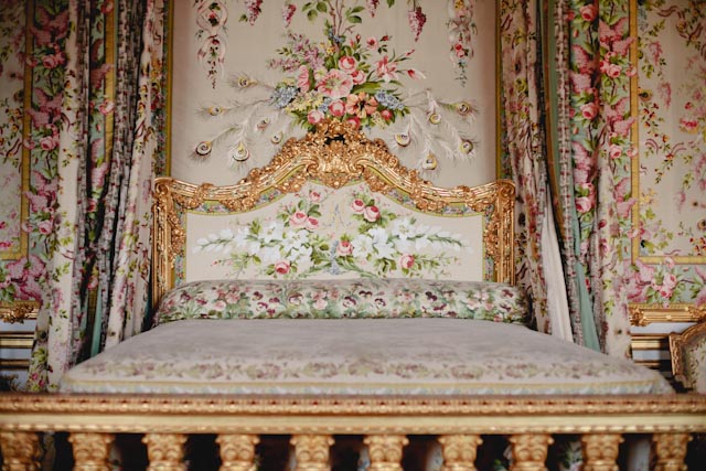 Marie Antoinette room - The cat, you and us