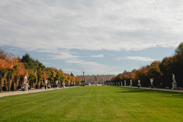 Versailles gardens - The cat, you and us