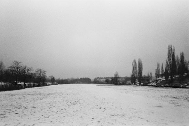 Fields with snow - The cat, you and us