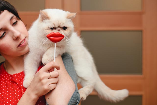 Juno rocks red lips - The cat, you and us