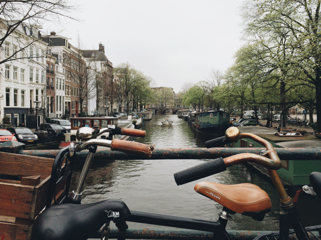 Amsterdam bikes and canals - The cat, you and us