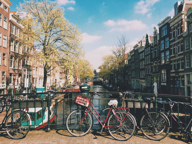 Bikes and a colorful day - The cat, you and us