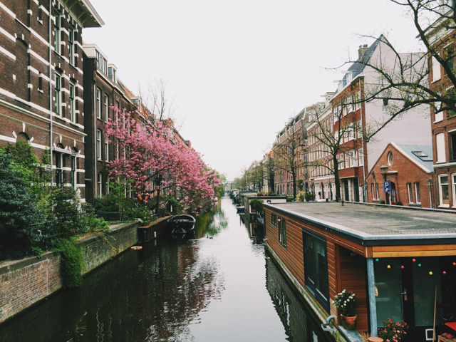 prettiest canal - The cat, you and us