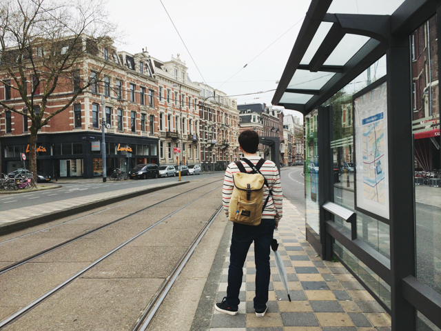 Amsterdam tram - The cat, you and us