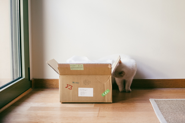 Juno, the mailing inspector - The cat, you and us