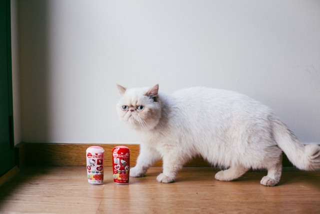 Juno & Hello Kitty candies - The cat, you and us