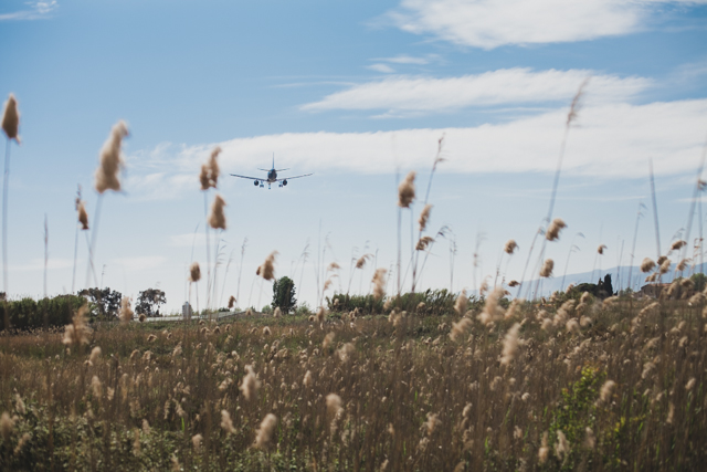 Delta del Llobregat - The cat, you and us