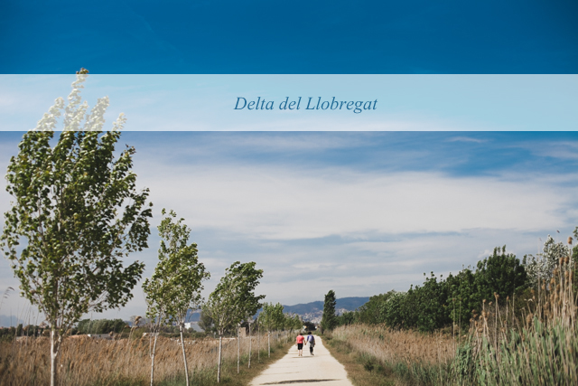 Delta del Llobregat - The cat, you and us