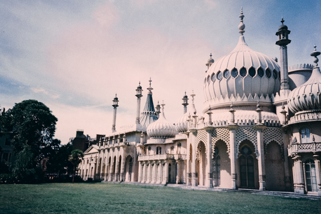 Royal Pavilion - The cat, you and us